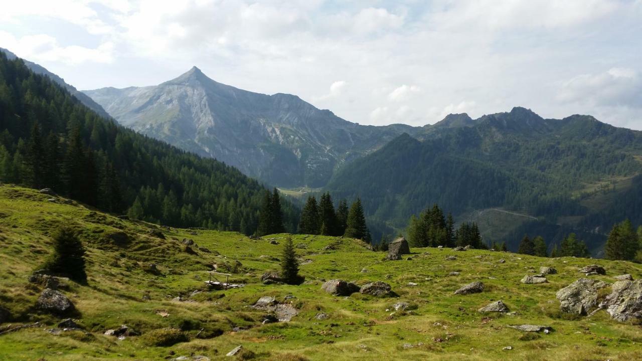 Reinbacher - Primps Schladming